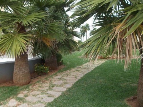  Wohnung Altbau Penthouse mit Meerblick in Denia Wohnung kaufen