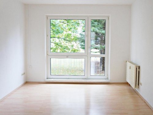 Zeithain Wohnung Altbau ***NUR 6 STUFEN BIS NACH HAUSE*** - helle 3-Raumwohnung im Erdgeschoss mit bodentiefen Fenstern in gepflegter Wohnanlage ab zu