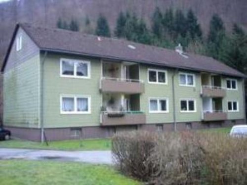 Zorge Wohnung Altbau Bezugsfertige Wohnung in Zorge Wohnung mieten