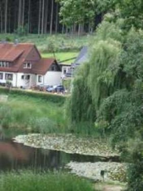 Bad Grund 3-Zimmer Wohnung AUSSICHTEN WIE IM URLAUB!! Wohnung mieten