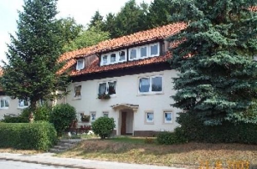 Bad Grund Wohnungsanzeigen Wohnung in 37539 Bad Grund zur Miete Wohnung mieten