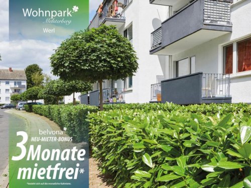 Werl Immobilien 3 Monate mietfrei: Frisch sanierte 2 Zimmer-Ahorn-Luxuswohnung im „Wohnpark Meisterberg!“ Wohnung mieten