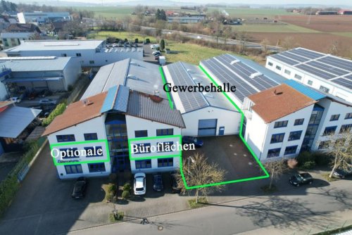 Groß-Umstadt Immobilien Inserate DIETZ: Hochwertige 600m² Gewerbehalle mit 2 Rolltoren und optionaler Bürofläche von 80m² bis 240m² Gewerbe mieten