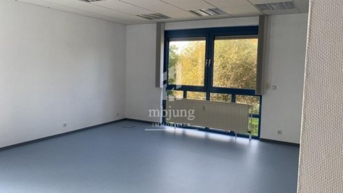 Homburg Gewerbe Immobilien **Gepflegte Bürofläche in Homburg-Erbach zu vermieten - PROVISIONSFREI** Gewerbe mieten