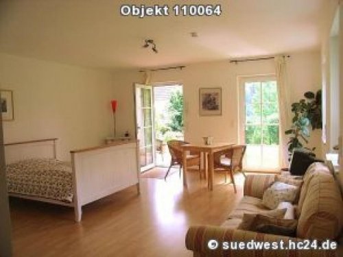 Heidelberg Wohnungen Heidelberg-Ziegelhausen: 1-Zi-Appartement mit Neckarblick und Terrasse zur Zwischenmiete Wohnung mieten