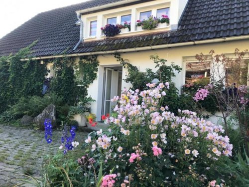 Lenzkirch Terrassenwohnung Mahamudra Wohnung mieten