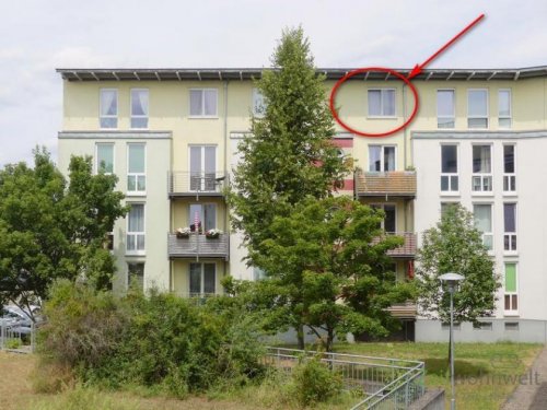 Meiningen Provisionsfreie Immobilien (12536_24) MGN: moderne 2-Zimmer-Wohnung mit Laminatböden im Dachgeschoss, Hausmeisterdienste inklusive Wohnung mieten