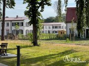 Beelitz (Landkreis Potsdam-Mittelmark) Wunderschönes Reihenendhaus im Quartier Beelitz-Heilstätten mit Garten und PKW-Stellplatz Haus 