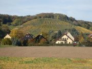 Coswig (Landkreis Meißen) Wohnen mit Blick zur Bosel, Baugrundstück in Coswig, OT Sörnewitz Grundstück kaufen