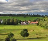 Tibilisi Ackerland in guter Bodenqualität Grundstück kaufen