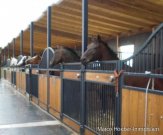 Großharthau Reiterhof mit Stallanlage und Halle bei Dresden Gewerbe kaufen