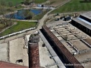 Großharthau Reiterhof mit Stallanlage und Halle bei Dresden Gewerbe kaufen