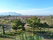 Denia Modernes Designerhaus auf Finca nähe Denia Haus kaufen