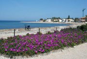 Els Poblets ACHTUNG: Reihen-Bungalow in Els Poblets-Denia zu verkaufen Haus kaufen