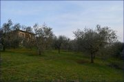 Citta della Pieve ***B&B Einrichtung in Umbrien Citta 'della Pieve, sucht neuen Eigentümer*** Haus kaufen