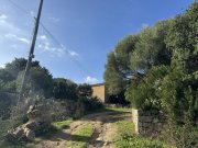 Aglientu Große Struktur mit Meerblick und Potenzial, Vignola Haus kaufen