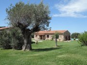 Luogosanto Landhaus mit Pool in herrlicher Landschaft in der Gallura Haus kaufen