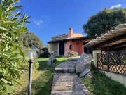 Santa Teresa Gallura Kleines Ferienhaus in Santa Teresa, La Filetta Haus kaufen