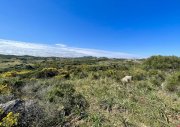 Trinita' D' Agultu e Vignola Grundstück mit genehmigtem Projekt, Cala Sarraina, Vignola Grundstück kaufen