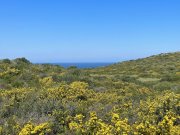 Trinita' D' Agultu e Vignola Grundstück mit genehmigtem Projekt, Cala Sarraina, Vignola Grundstück kaufen