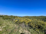 Trinita' D' Agultu e Vignola Grundstück mit genehmigtem Projekt, Cala Sarraina, Vignola Grundstück kaufen