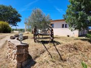 Sencelles Finca mit Weinbergen in Sencelles auf Mallorca zu verkaufen Haus kaufen