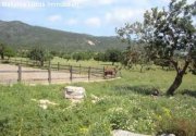 Calvia Landgut mit historischem großem Bauernhaus in Calviá südlich von Mallorca Gewerbe kaufen