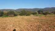 Campanet Schönes Baugrundstück mit Finca sehr verkehrsgünstig gelegen! Grundstück kaufen