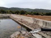 Campanet Schönes Baugrundstück mit Finca sehr verkehrsgünstig gelegen! Grundstück kaufen