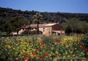 Manacor Finca in Manacor - Mallorca Haus kaufen