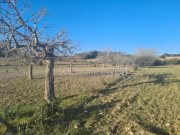 Sineu Beindruckendes Finca-Grundstück bei Sineu Grundstück kaufen