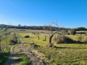 Sineu Beindruckendes Finca-Grundstück bei Sineu Grundstück kaufen