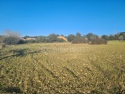 Sineu Beindruckendes Finca-Grundstück bei Sineu Grundstück kaufen