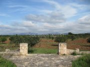 María de la Salut / Santa Margalida Traum Finca in María de la Salut / Santa Margalida Haus kaufen