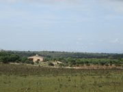 María de la Salut / Santa Margalida Traum Finca in María de la Salut / Santa Margalida Haus kaufen