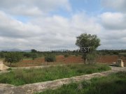 María de la Salut / Santa Margalida Traum Finca in María de la Salut / Santa Margalida Haus kaufen