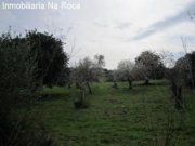 Sant Llorenc des Cardassar Ländliches Ambiente in Ortsnähe. Haus kaufen