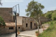 Harth-Pöllnitz Hübsche Mallorquinische Finca mit Pool zu verkaufen Haus kaufen