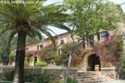 Harth-Pöllnitz Hübsche Mallorquinische Finca mit Pool zu verkaufen Haus kaufen