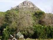 Cala Mesquida Finca in absolut ruhiger Lage Haus kaufen