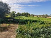 Llucmajor Finca - sehr einfach in ruhiger Lage! Haus kaufen