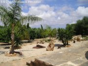 Ses Salines Stilvolle Finca mit Pool in Ses Salines mit Ferien Lizens Haus kaufen