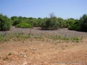 Santanyi Finca Ruine- Santanyi - Mallorca Haus kaufen