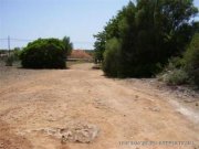 Santanyi Finca Ruine- Santanyi - Mallorca Haus kaufen