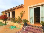 Porto Cristo Charmante Finca nur 5 Minuten von Porto Cristo entfernt Haus kaufen