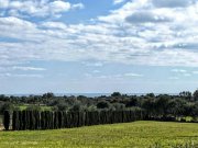 Porto Cristo Schöne Finca mit Meerblick in Porto Cristo zu verkaufen Haus kaufen