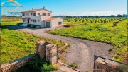 Porto Cristo Schönes Neubau-Landhaus mit Meerblick sehr Nahe an Porto Cristo Haus kaufen