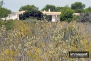 Sant Francesc de Formentera Einzigartige nach Südosten ausgerichtete Villa mit privatem Zugang zum Meer - MS05511 Haus kaufen