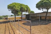 Chiclana de la Frontera Andalusien, Costa de la Luz, Chiclana - Finca mit Stall, Halle, Restaurant und Wohnhaus Haus kaufen