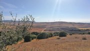 Vejer de la Frontera Andalusien, Vejer de la Frontera - Finca zum renovieren zu verkaufen Haus kaufen